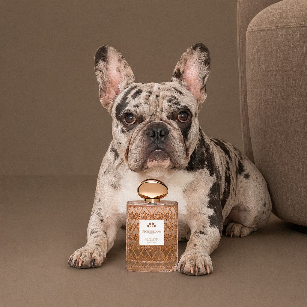 Nichebloom Pet Perfume Signature Gift Set 120ml - Napoleon