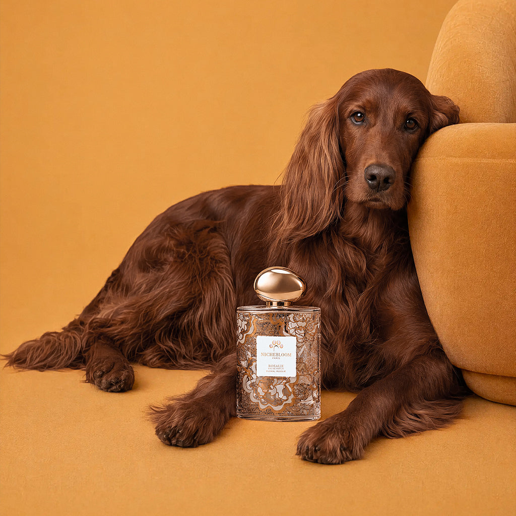 Nichebloom Pet Perfume Signature Gift Set 120ml - Rosalie