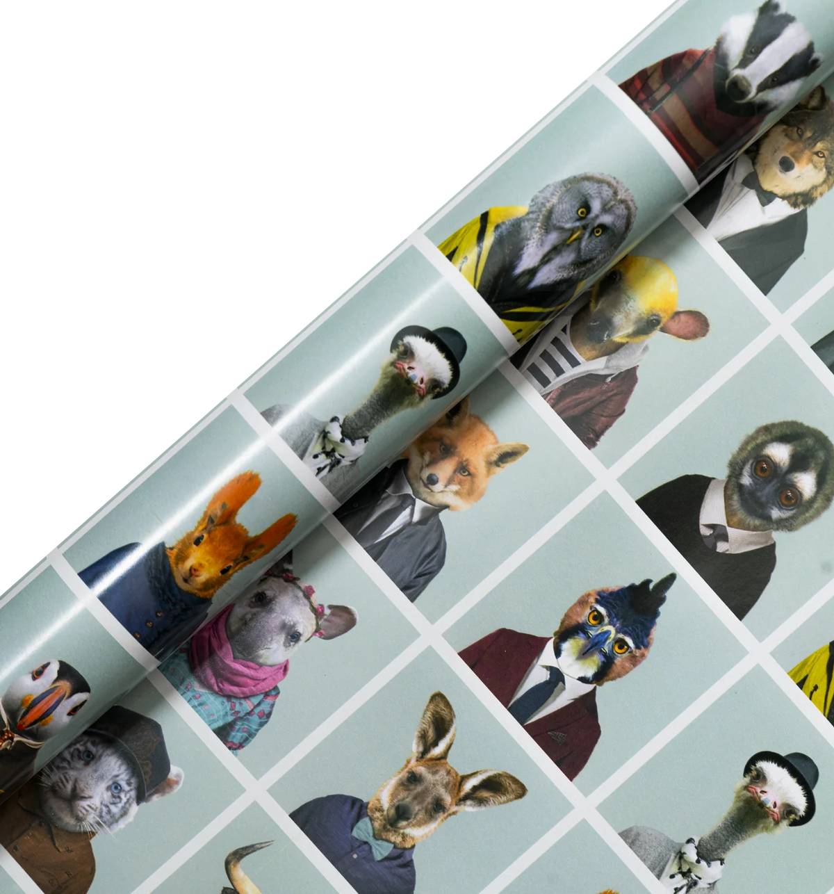 Zoo Portraits Polaroid roll wrap by Klang Und Kleid