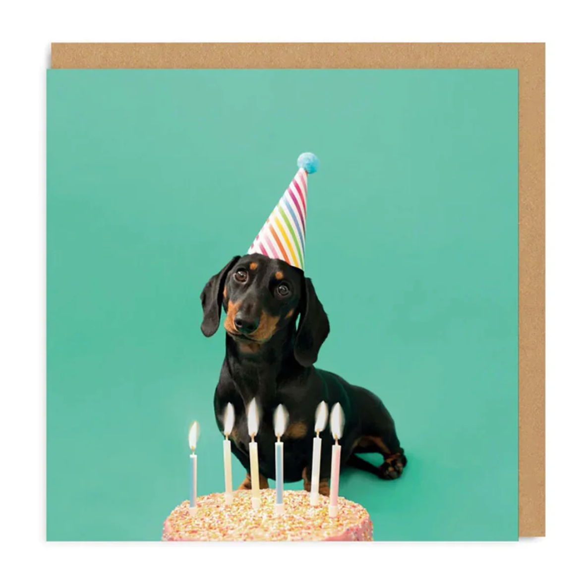 Scout Party Hat Square Birthday Greeting Card