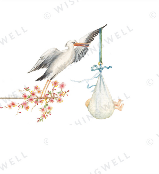 Wishing Well Greeting Card Baby New Delivery Congratulations!