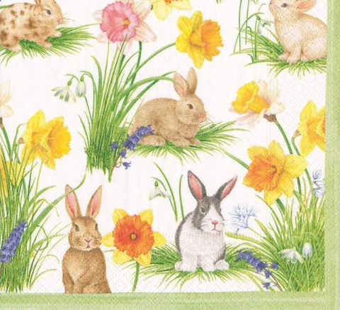 Caspari Bunnies and Daffodils Napkins