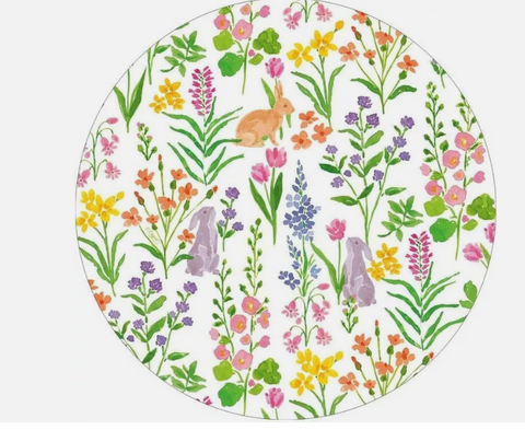 Bunny Field Salad & Dessert Plate