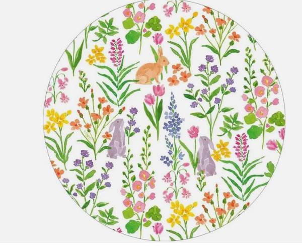 Bunny Field Salad & Dessert Plate