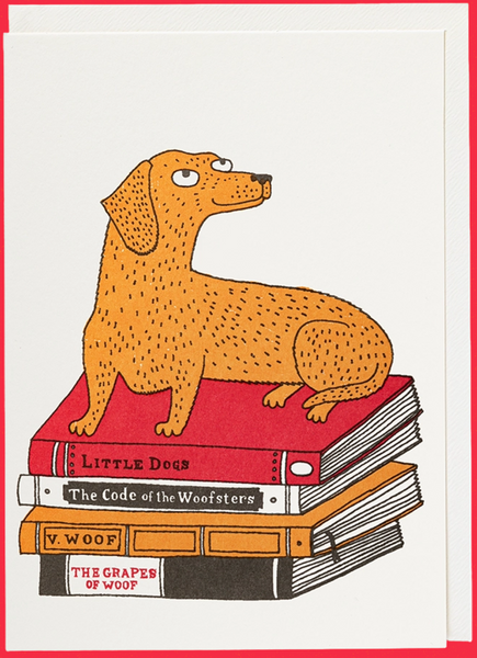 Archivist Bookshop Dog
