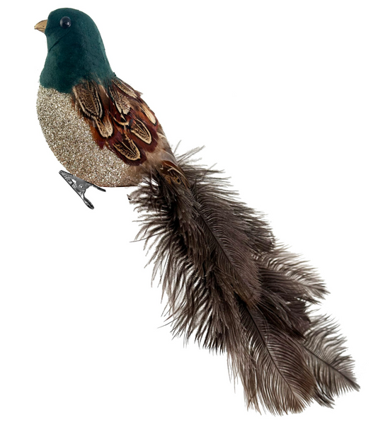 Shishi Feather bird green head silver glitter body ostrich tail 36cm