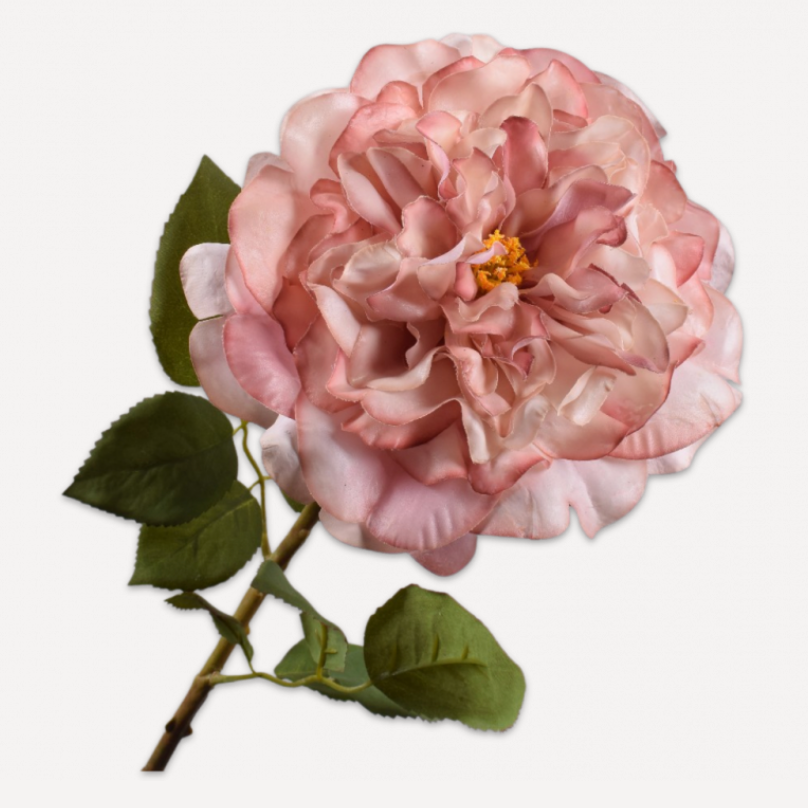 Silk-ka rose stem, 70 cm