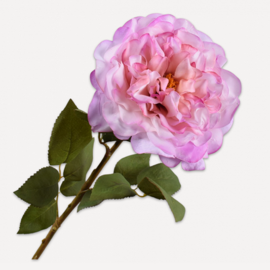 Silk-ka rose stem, 70 cm, view 2