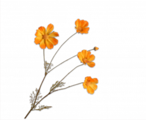 Silk-ka cosmos spray, 92 cm