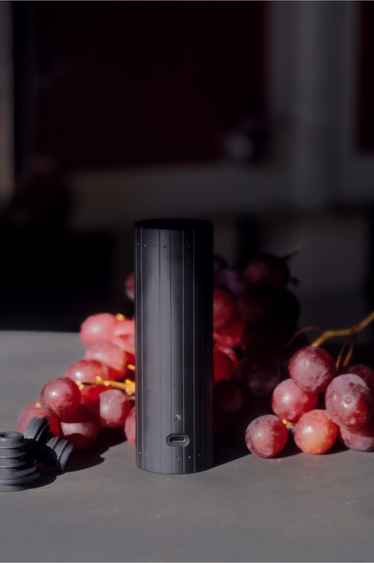 L'Atelier Du Vin Gard’Vin On/Off Power