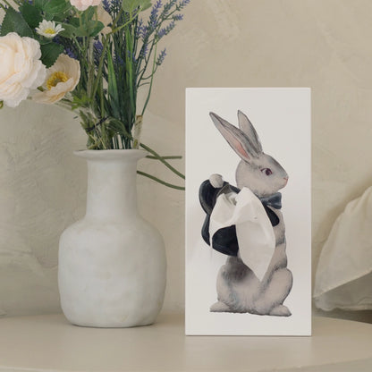 Tissue Up Tale - Wonder Rabbit, view 2