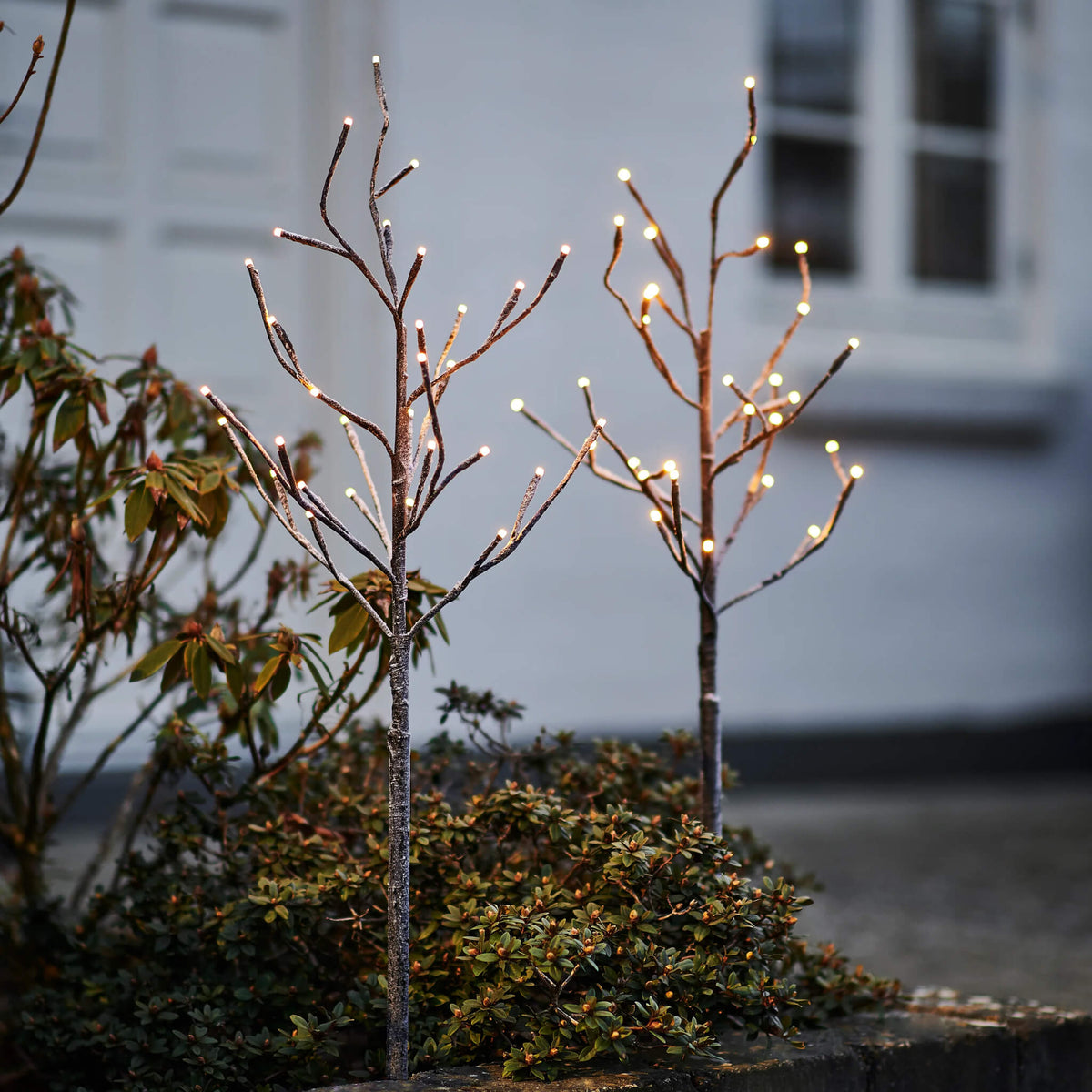 Alex Christmas LED Tree 80cm (Set of 2), view 2