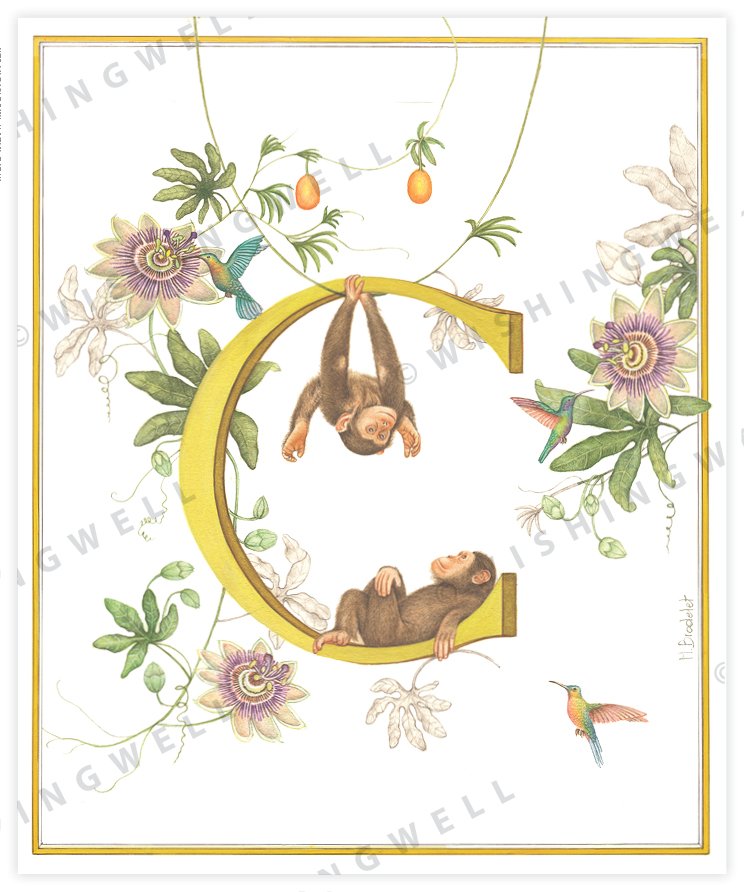 Wishing Well Alphabet Little Greeting Card
