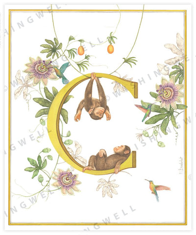 Wishing Well Animal ABC Greeting Card