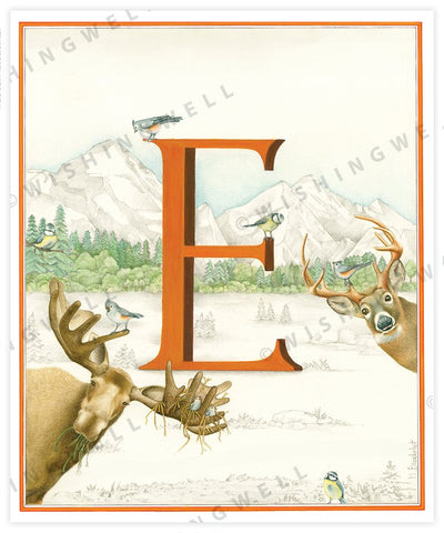 Wishing Well Animal ABC Greeting Card