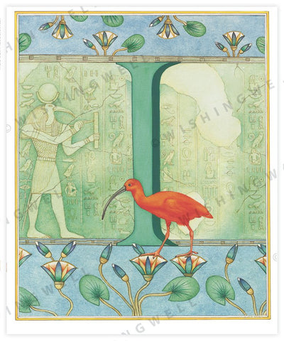 Wishing Well Animal ABC Greeting Card