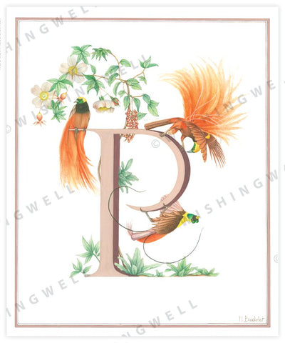 Wishing Well Animal ABC Greeting Card