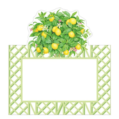Caspari Place Card (Set of 8)