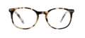 Frank and Lucie Eyecon Sunreader sunglasses in Greyvanna