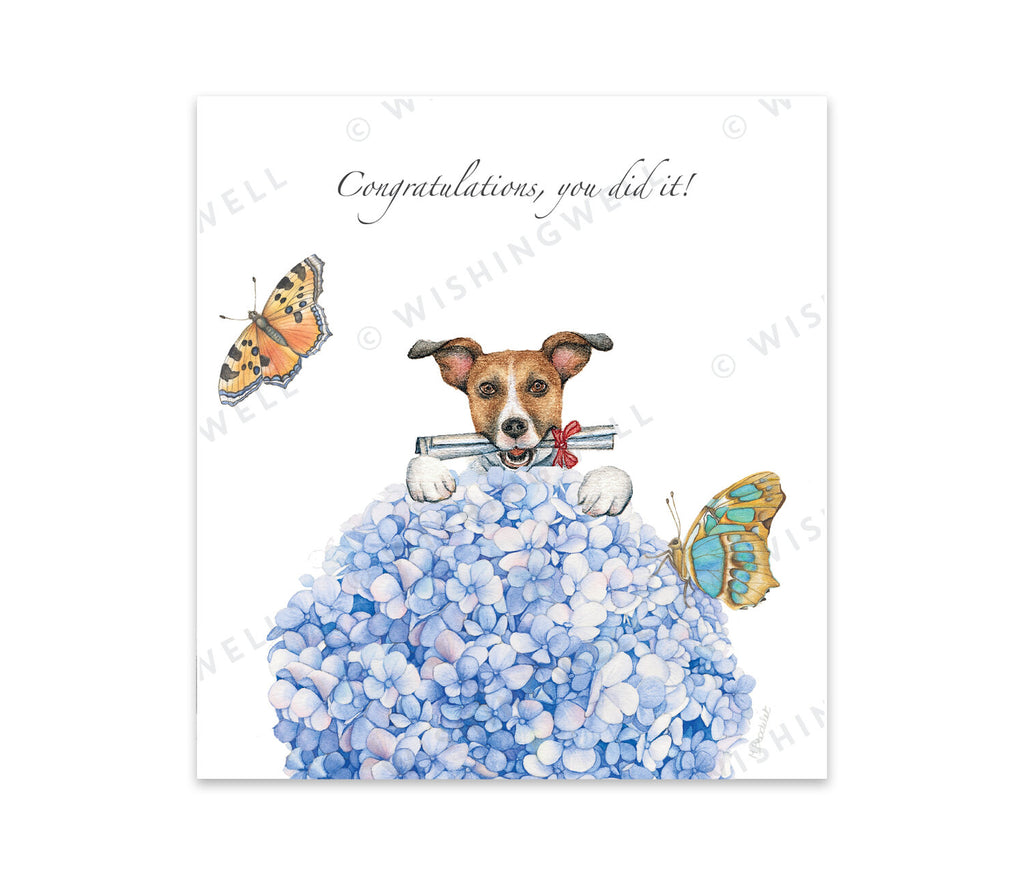 Wishingwell Greeting Card Congratulations, You did it!