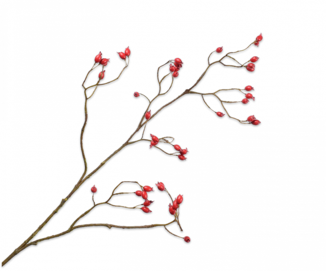 Silk-ka Artificial Rose Hip Flower
