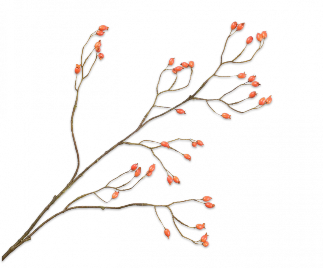 Silk-ka Artificial Rose Hip Flower