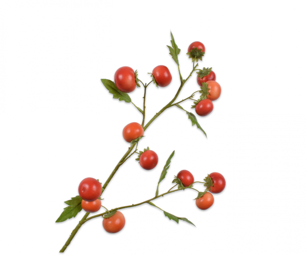 Silk-ka Artificial Tomato Branch