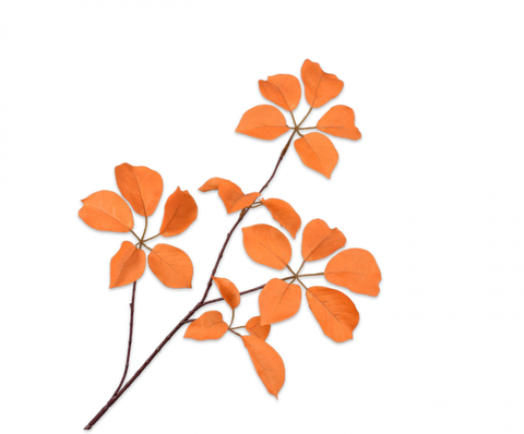 Silk-ka Artificial Autumn Leaf