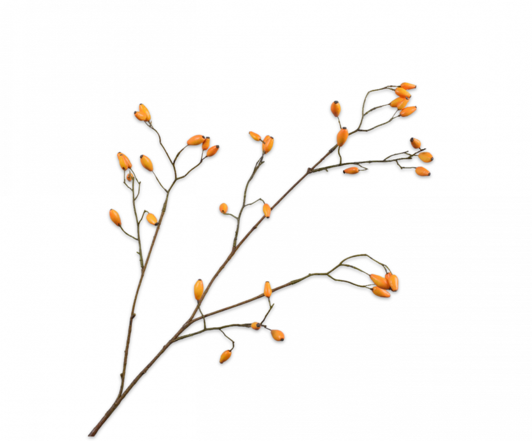 Silk-ka Artificial Rose Hip Flower