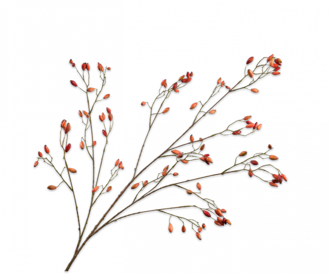 Silk-ka Artificial Rose Hip Flower