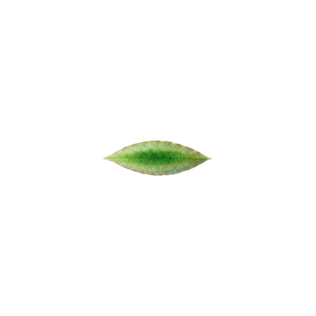 Riviera Laurel Leaf Plate 18cm