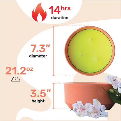 Graziani Citronella Terracotta Candle Set