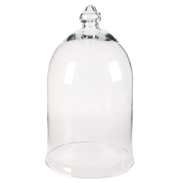 Cloche Glass Bell Maxi Cover