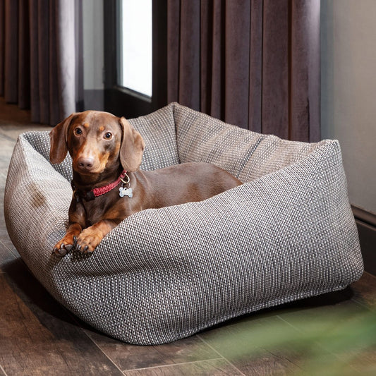 Roolf Pet Basket
