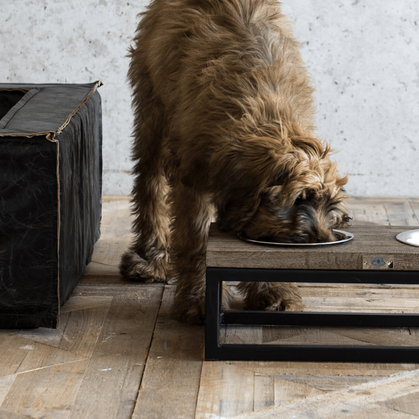 Pet Feeder Roma