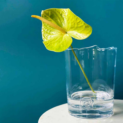 Gommaire Vase Mon in mouthblown glass, view 5