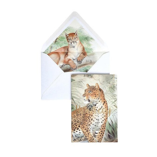 Greeting Card Hooray Old Cat