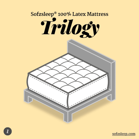 natural latex mattress 3 layered Sofzsleep